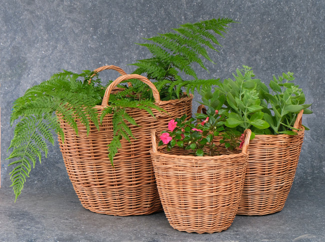 Elegant Indoor Willow Planters: Where Style Meets Sustainability