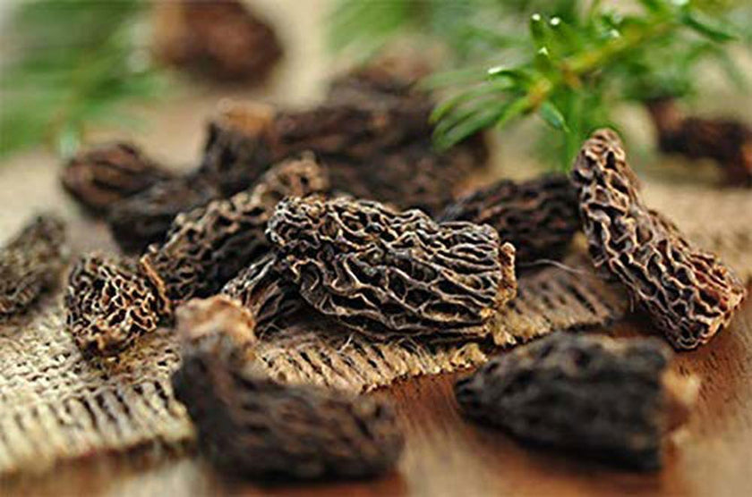 Alif Himalayan, Kashmiri Morel Mushrooms Morchella, Gucchi 25g - Hamiast