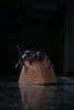 Elegant Trapezoid Indoor Wicker Planter: Modern Willow Elegance