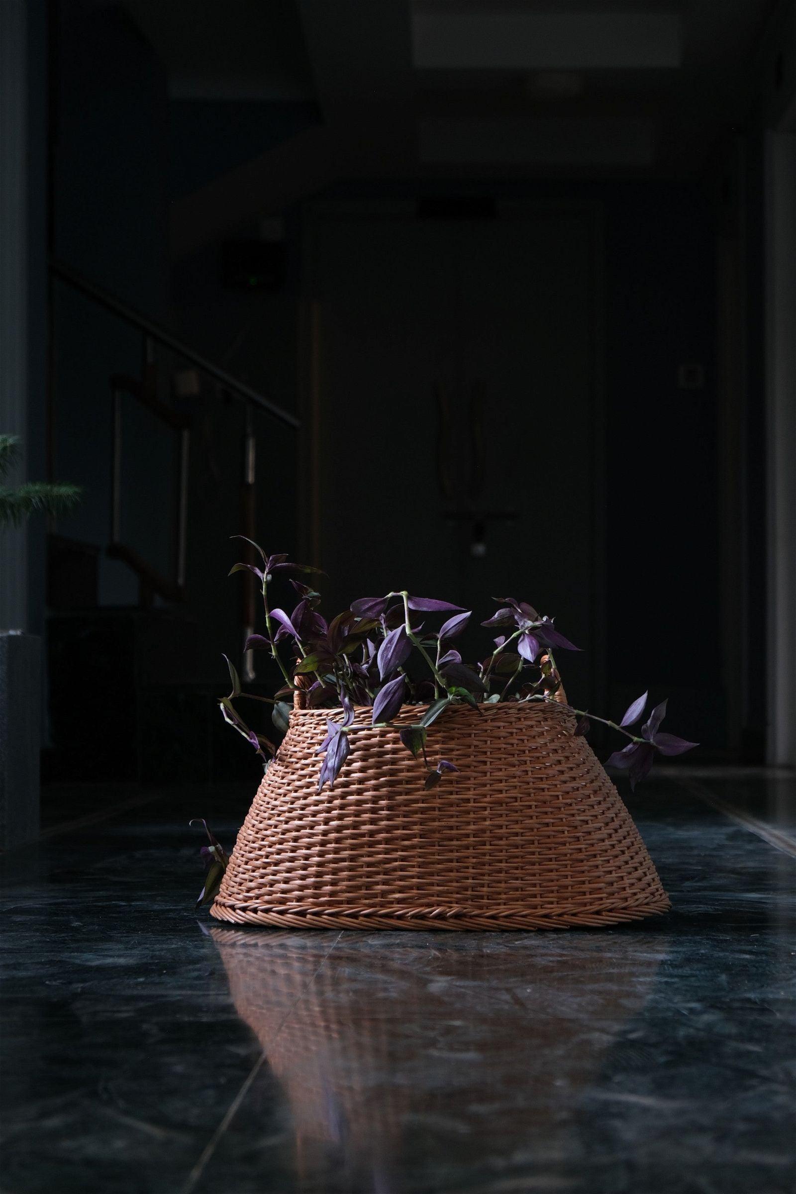 Elegant Trapezoid Indoor Wicker Planter: Modern Willow Elegance