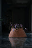 Elegant Trapezoid Indoor Wicker Planter: Modern Willow Elegance