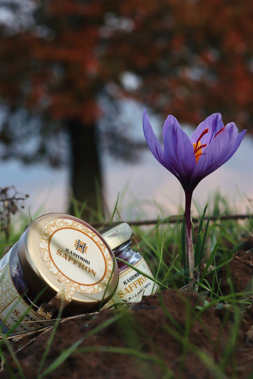 Hamiast Kashmiri Saffron (Kesar): Premium Grade-1 Quality Threads, 100% Pure, 1g - Hamiast