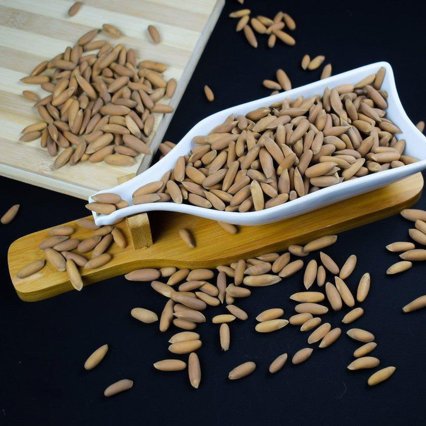 The Heavenly Pine Nuts Inshell (Chilgoza)