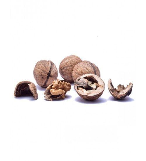 Walnut Boxy With Shell (400 Grams) - Hamiast